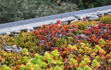 the cost of Padhams Green green roof installation