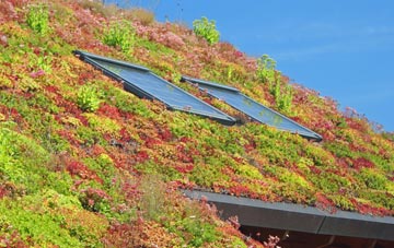 Padhams Green living roof systems